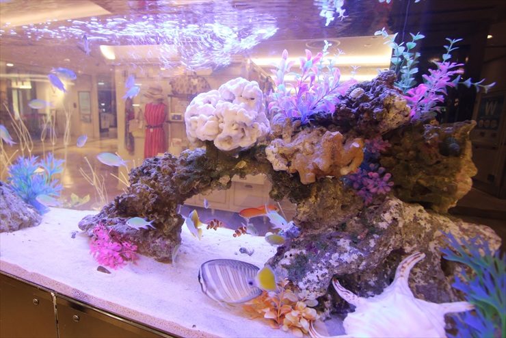 岩組と人工サンゴで彩られた海水魚水槽のレイアウト