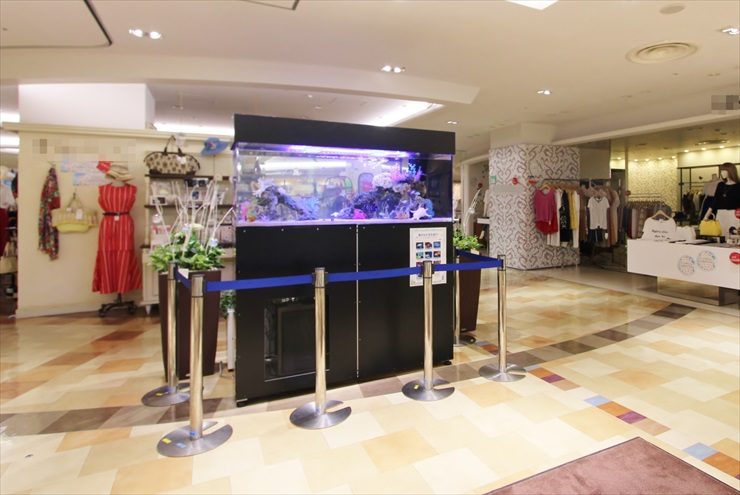アパレル店舗内に設置された大型海水魚水槽と青いパーテーション