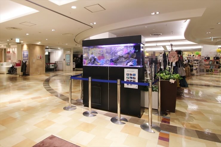 商業施設内に設置された大型海水魚水槽とパーテーション