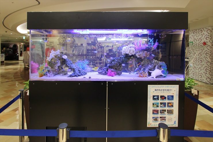 商業施設に設置された大型の海水魚水槽と紹介パネル