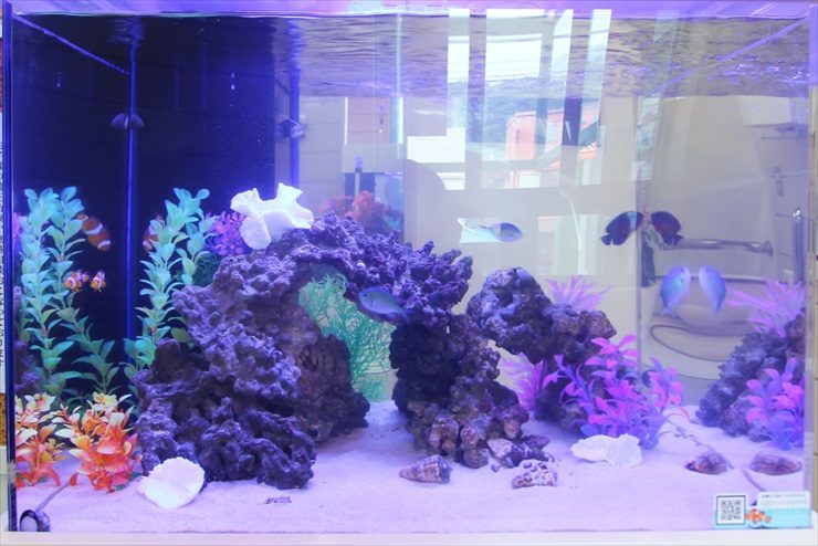 岩組と人工水草を配置した海水魚水槽のレイアウト画像
