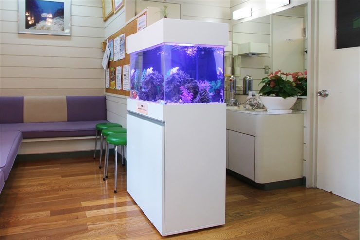 待合室に設置された白い水槽台と青い照明の海水魚水槽