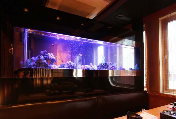 青い照明が灯る飲食店壁面の大型海水魚水槽