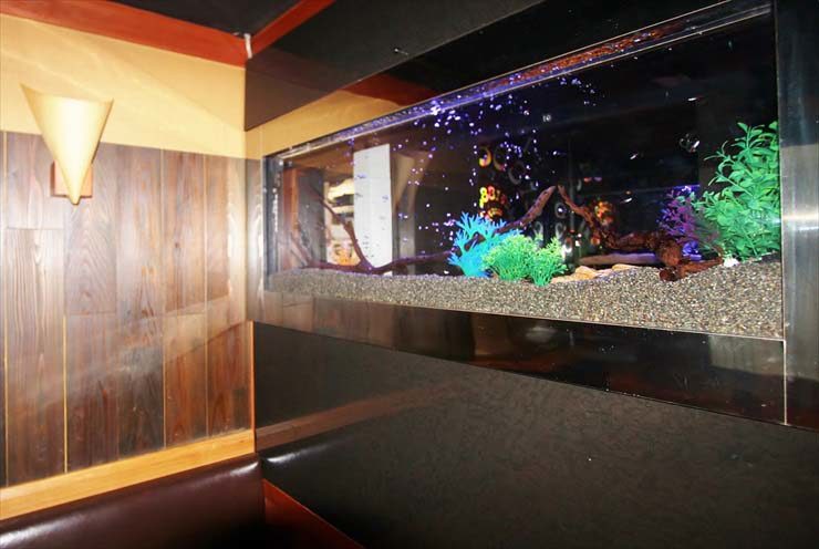 飲食店壁面に埋め込まれた大型の熱帯魚水槽と流木レイアウト
