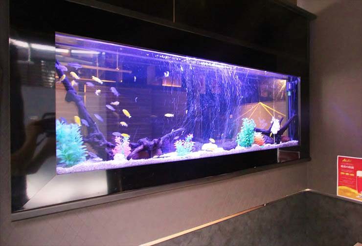青い照明の壁埋め込み型大型水槽と泳ぐ熱帯魚たち