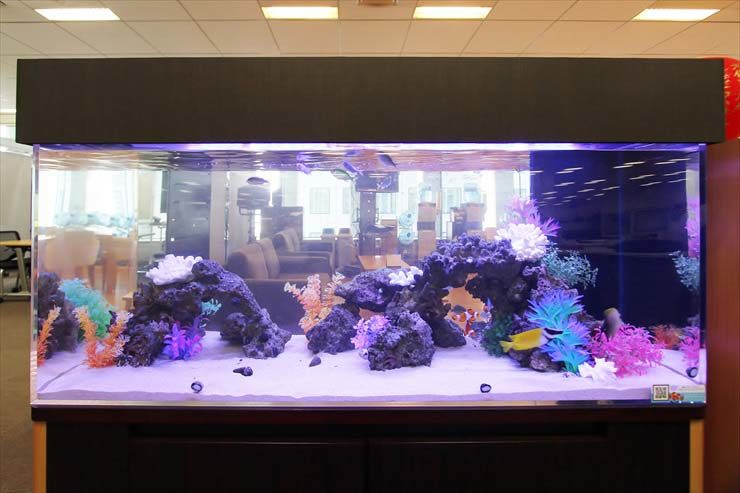 岩組とカラフルな人工水草を配置した大型の海水魚水槽