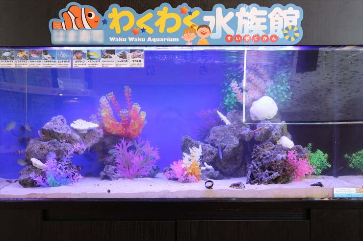 わくわく水族館の看板がある海水魚水槽の全景