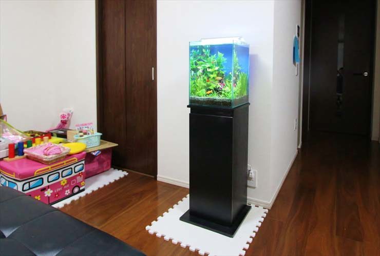 リビングの角に設置された黒い水槽台と小型水草水槽