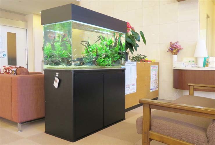待合室に設置された流木と水草の大型水槽