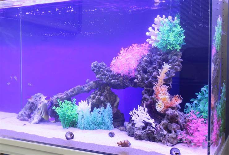 紫の照明に照らされた人工水草と岩組みの海水魚水槽