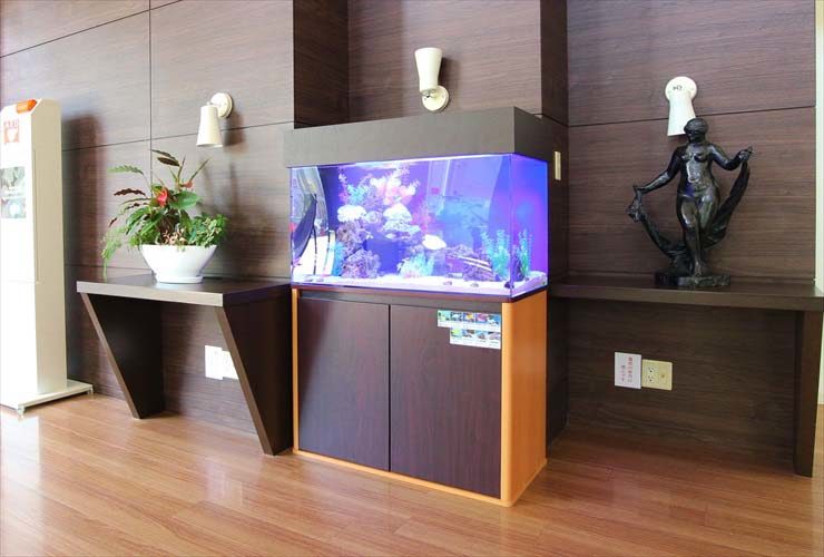 木目調の壁際に設置された青い照明の海水魚水槽