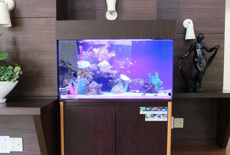 青い照明の海水魚水槽と木目調の水槽台の設置例