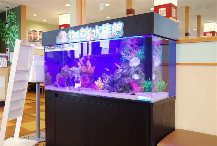 わくわく水族館の文字がある海水魚水槽の設置事例画像