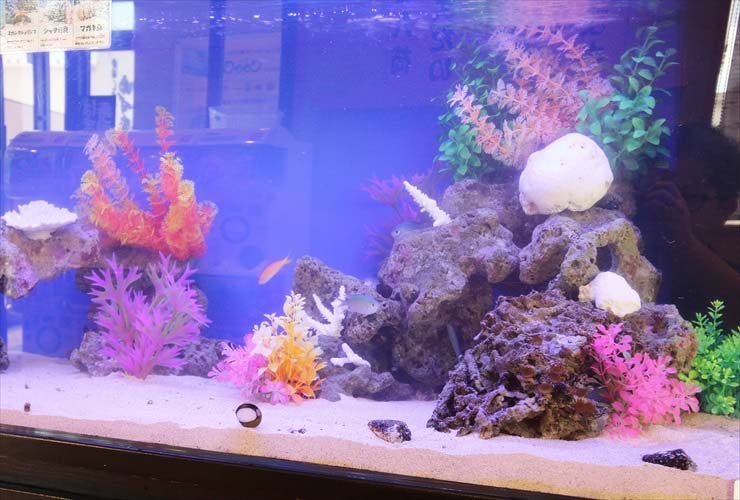 カラフルな人工水草と岩を配置した海水魚水槽のレイアウト