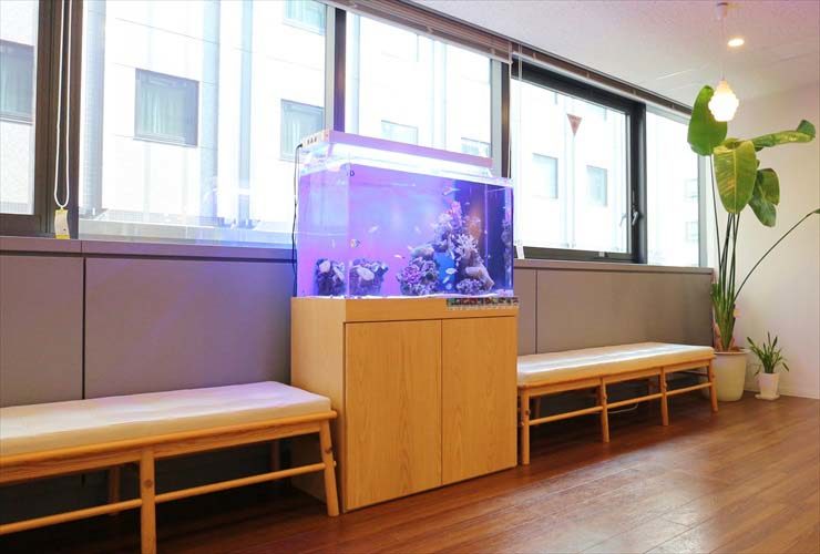 窓際に設置された海水魚水槽と木製ベンチのある待合室