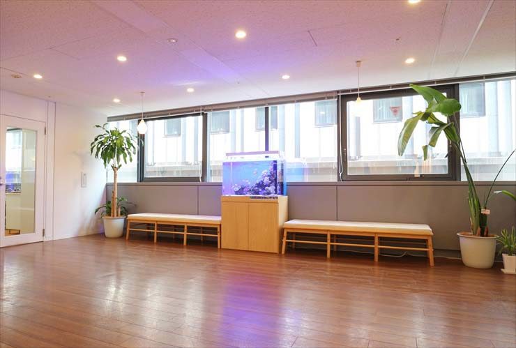 窓際に設置された海水魚水槽と木製ベンチのある室内風景