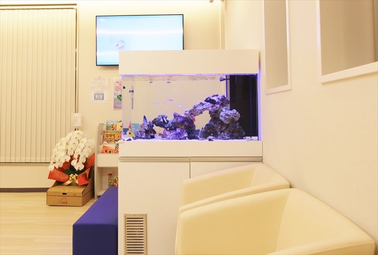 待合室に設置された白い架台の海水魚水槽とソファ