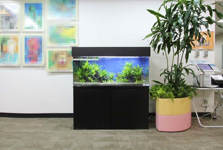 黒い水槽台に設置された水草の茂る大型水槽と観葉植物