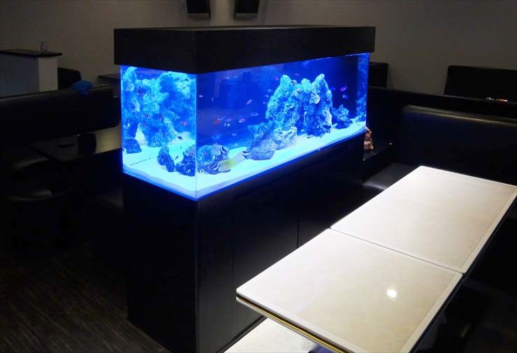 飲食店に設置された青い照明の大型海水魚水槽