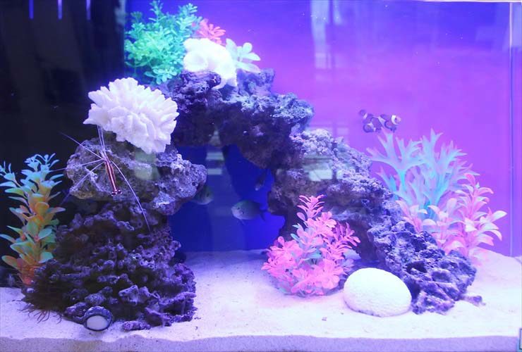 岩組と人工水草を配置した海水魚水槽のレイアウト