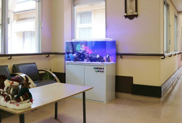 待合室に設置された青い照明の熱帯魚水槽とソファの風景