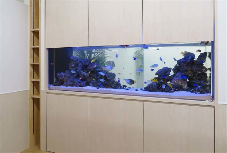 壁面に埋め込まれた大型の海水魚水槽と木目調の収納棚