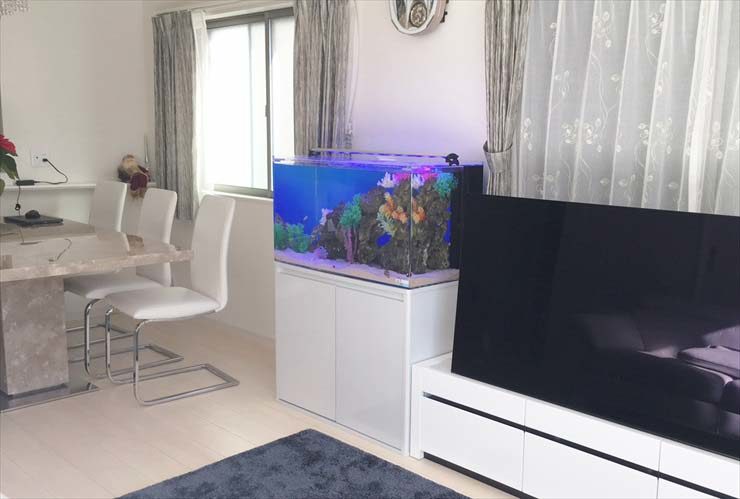 リビングのテレビ横に設置された海水魚水槽と白い水槽台
