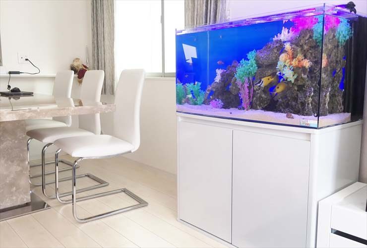 ダイニングに設置された海水魚水槽と白い家具のインテリア