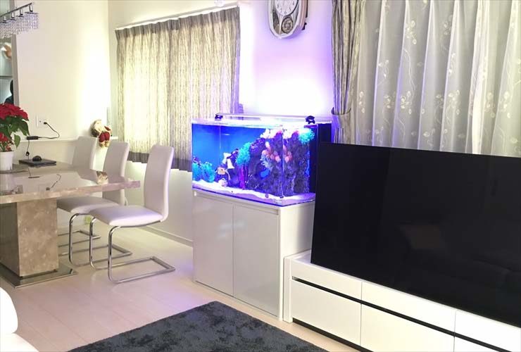リビングのテレビ横に設置された海水魚水槽と白い家具
