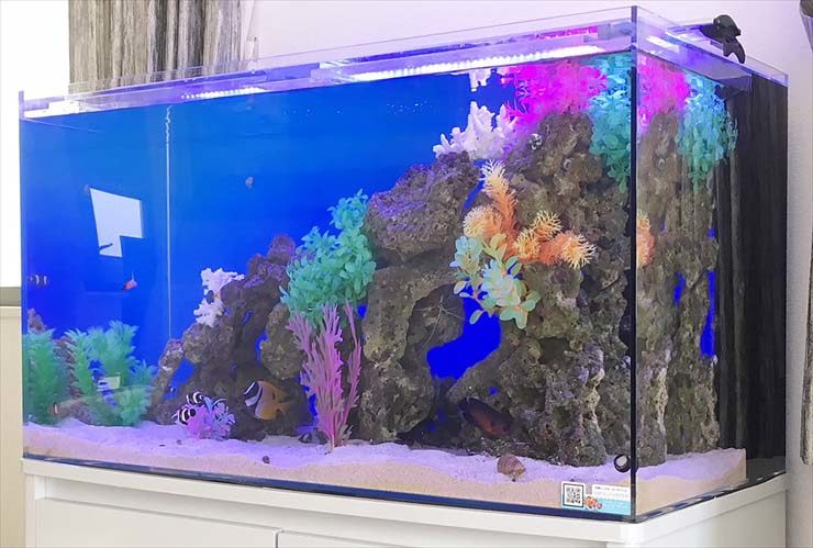 カラフルな人工水草と岩を配置した海水魚水槽の全景