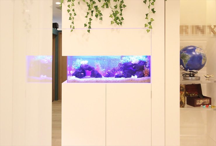 白い壁面に埋め込まれた青い照明の海水魚水槽と観葉植物