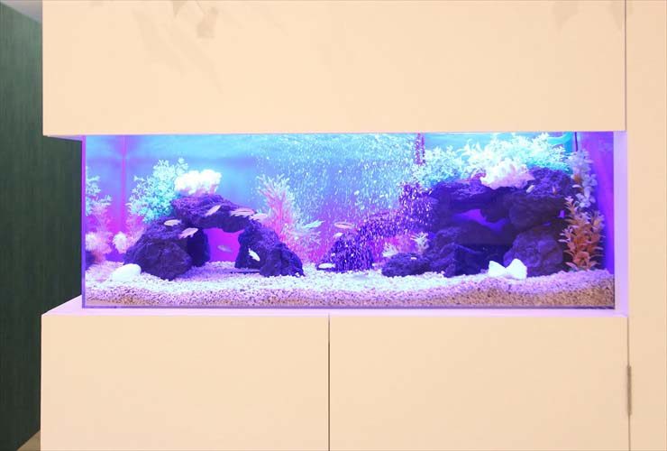 青い照明に照らされた岩組みと熱帯魚の埋め込み式水槽