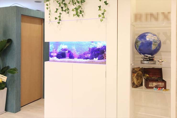 白い壁面に埋め込まれた青い照明のアクアリウム水槽