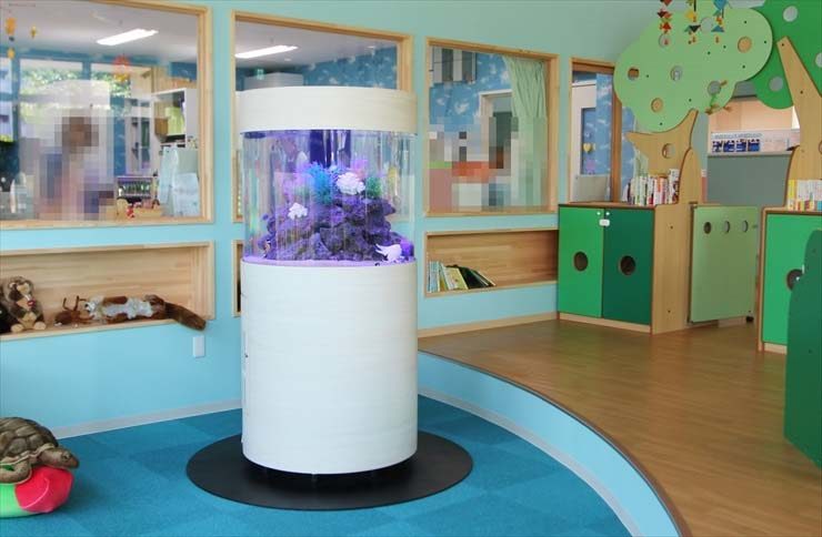 保育施設に設置された円柱型の海水魚水槽