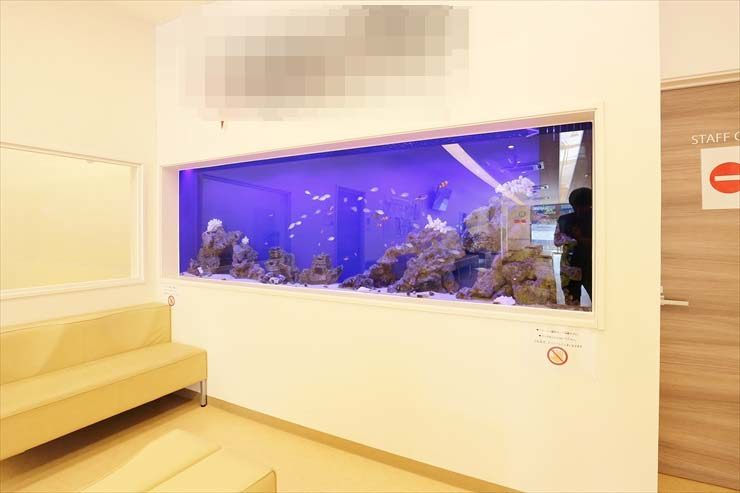 待合室の壁に埋め込まれた大型の海水魚水槽