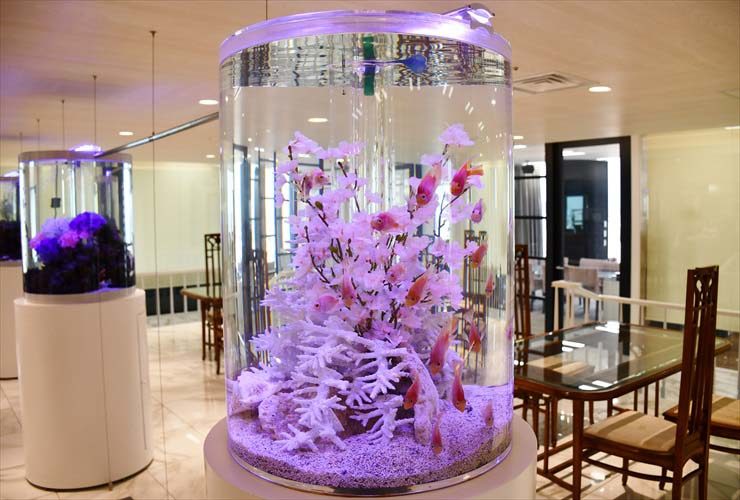 ピンクの造花と金魚が入った円柱型水槽の設置事例