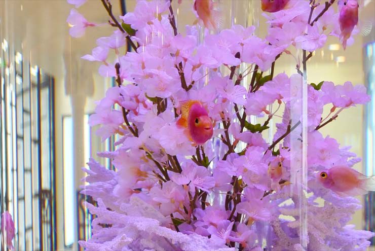 桜の造花とピンク色の熱帯魚が泳ぐ円柱水槽の装飾