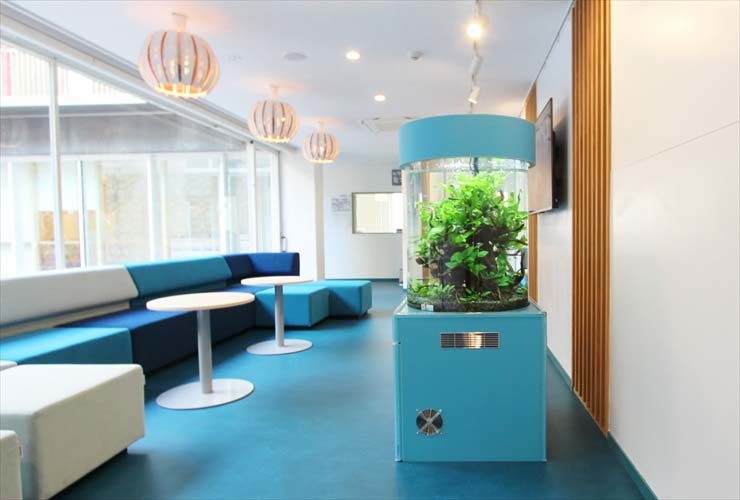 青い円柱型水槽が設置された明るいラウンジの風景