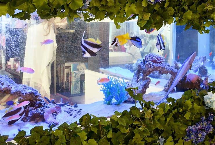 造花に囲まれた海水魚水槽を泳ぐハタタテダイと熱帯魚