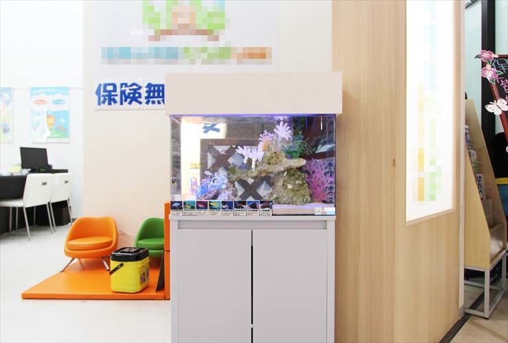 保険相談窓口のキッズスペースに設置された海水魚水槽
