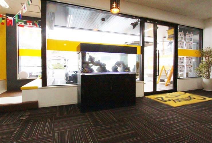 店舗の入り口付近に設置された大型の海水魚水槽