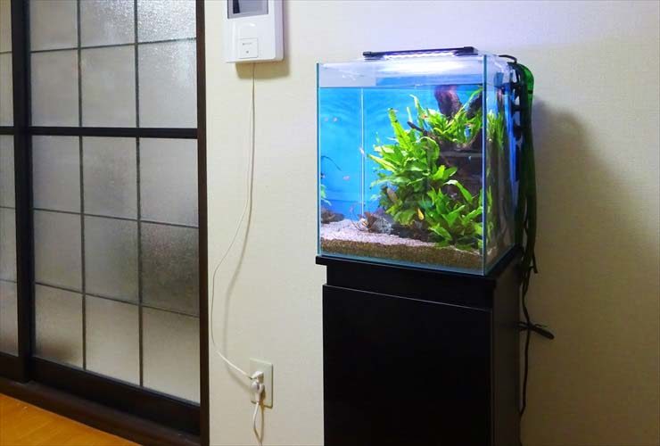和室の障子横に設置された水草と流木入りの小型水槽と水槽台