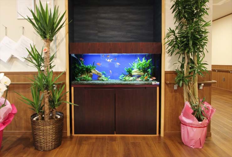 観葉植物に囲まれた金魚が泳ぐ埋め込み式水槽の設置例