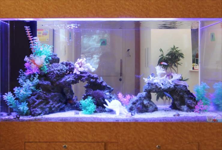 岩組とカラフルな人工水草を配置した海水魚水槽の全景