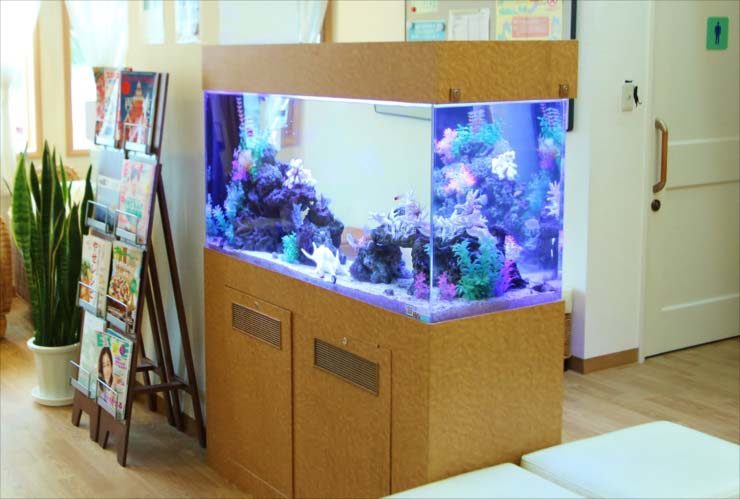待合室に設置された大型の海水魚水槽と木製水槽台