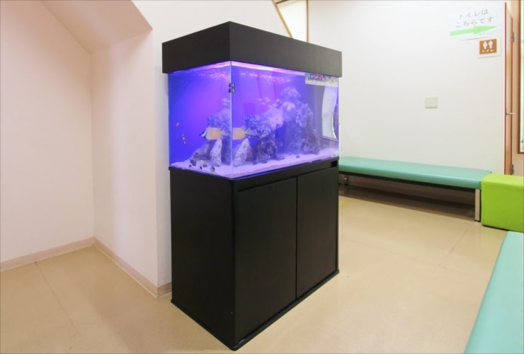待合室に設置された青い照明の海水魚水槽と黒い水槽台