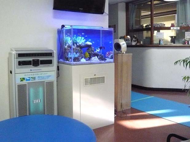 待合室に設置された海水魚水槽と白い水槽台の風景