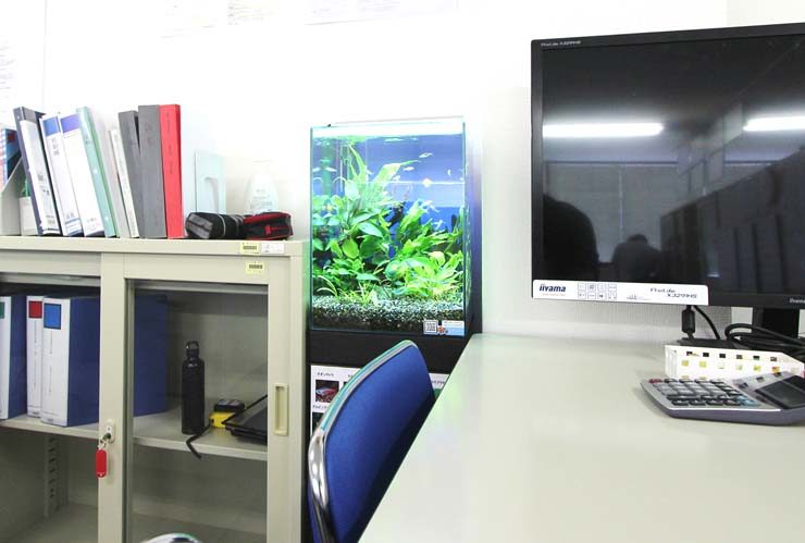 オフィスデスク横に設置された小型水草水槽とPCモニター