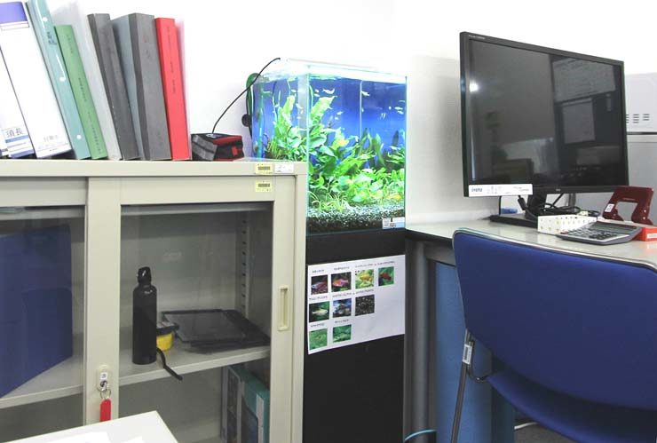 オフィスデスクと棚の間に設置された小型水草水槽