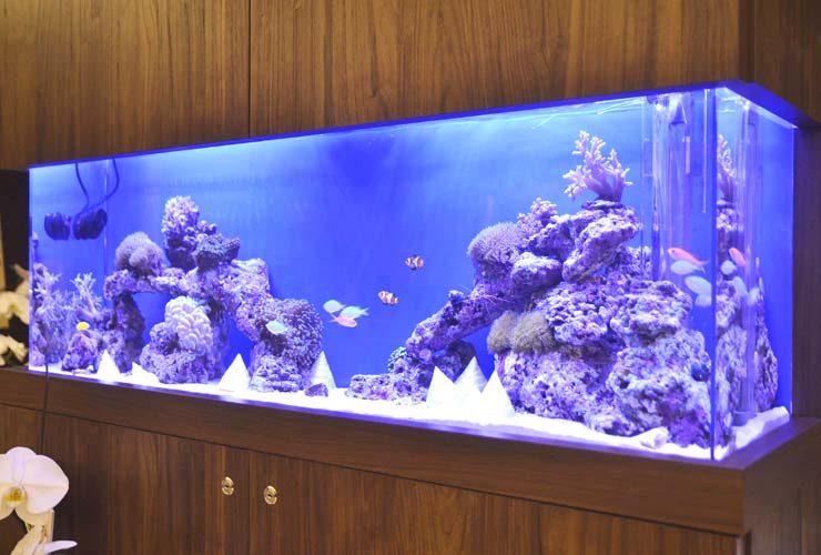 青い照明の海水魚水槽と木製キャビネットのインテリア